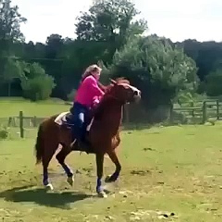 Very Funny Girl on hourse