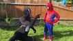 Spiderman vs Venom Arm Wrestling challenge! Marv