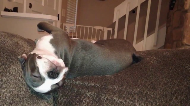 Une belle compilation de FAIL endormis.... Ahaha