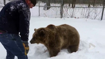 Un petit calin avec un gros ours.... ahaha
