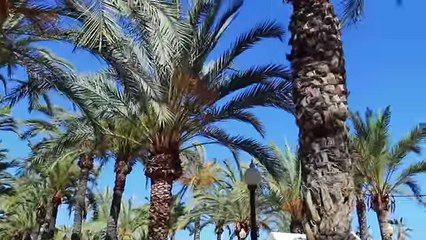 Pardesi TV Spain - Rahim Pardesi | fun hi fun ha