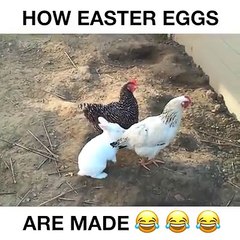 how Easter eggs are made