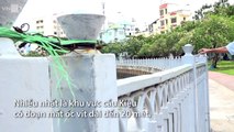 VnExpress | Thời sự | Hàng loạt trụ lan can kênh Nhiêu Lộc mất ốc vít
