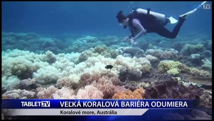 VEĽKÁ KORALOVÁ BARIÉRA ODUMIERA
