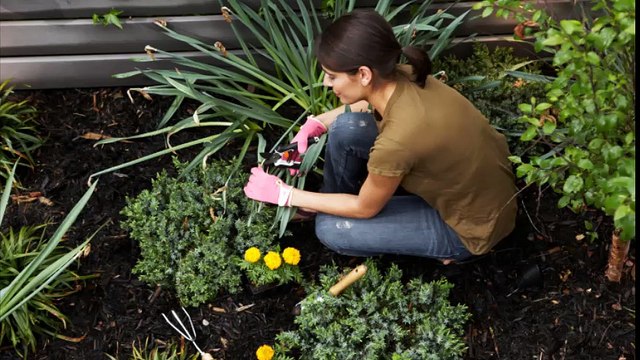 Volpe Landscaping LLC - (330) 222-6766