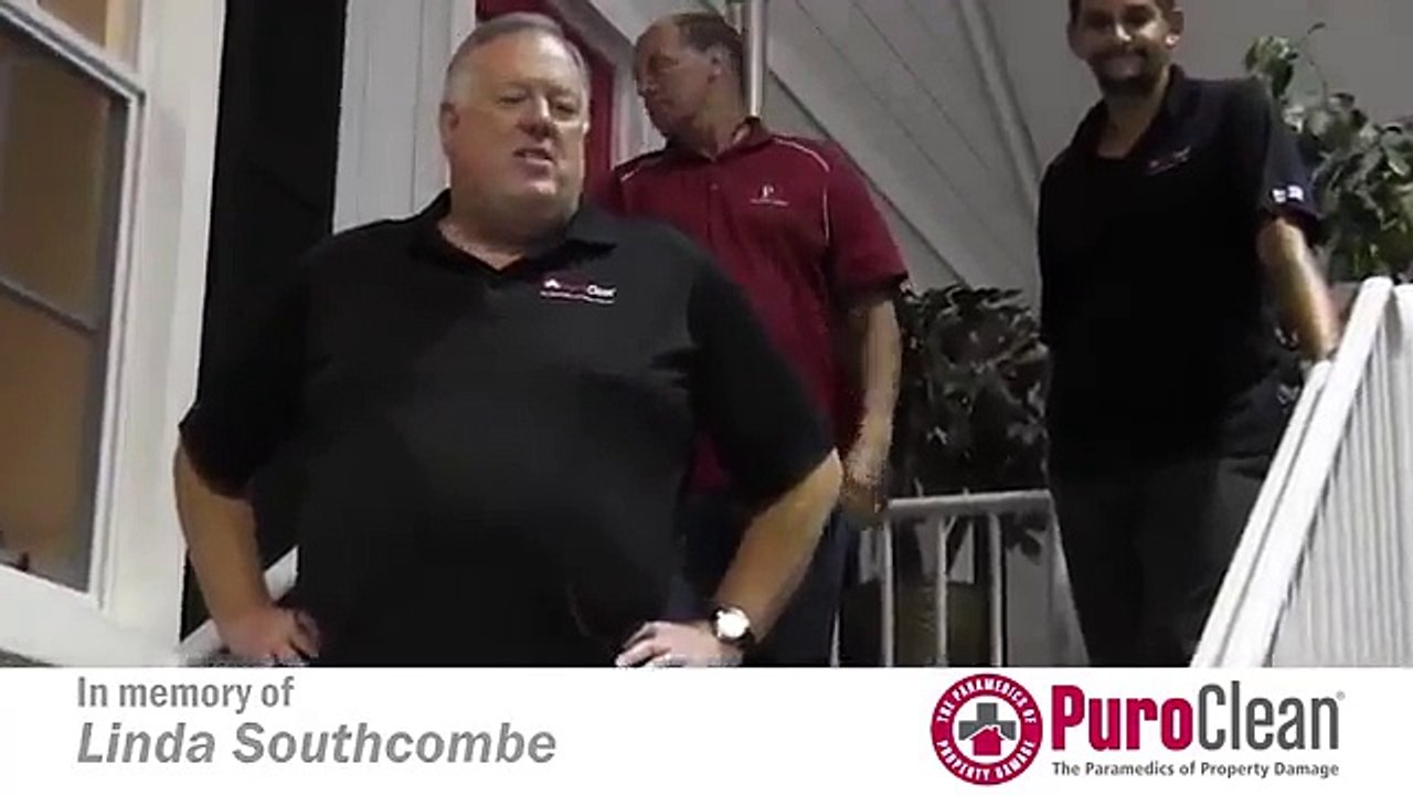 Fire Damage Restoration - Mold Removal Services - Wyandotte MI - 734-225-2552