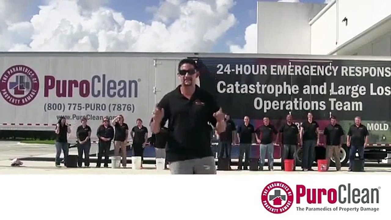 Water Damage Restoration - Mold Removal Services - Wyandotte MI - 734-225-2552