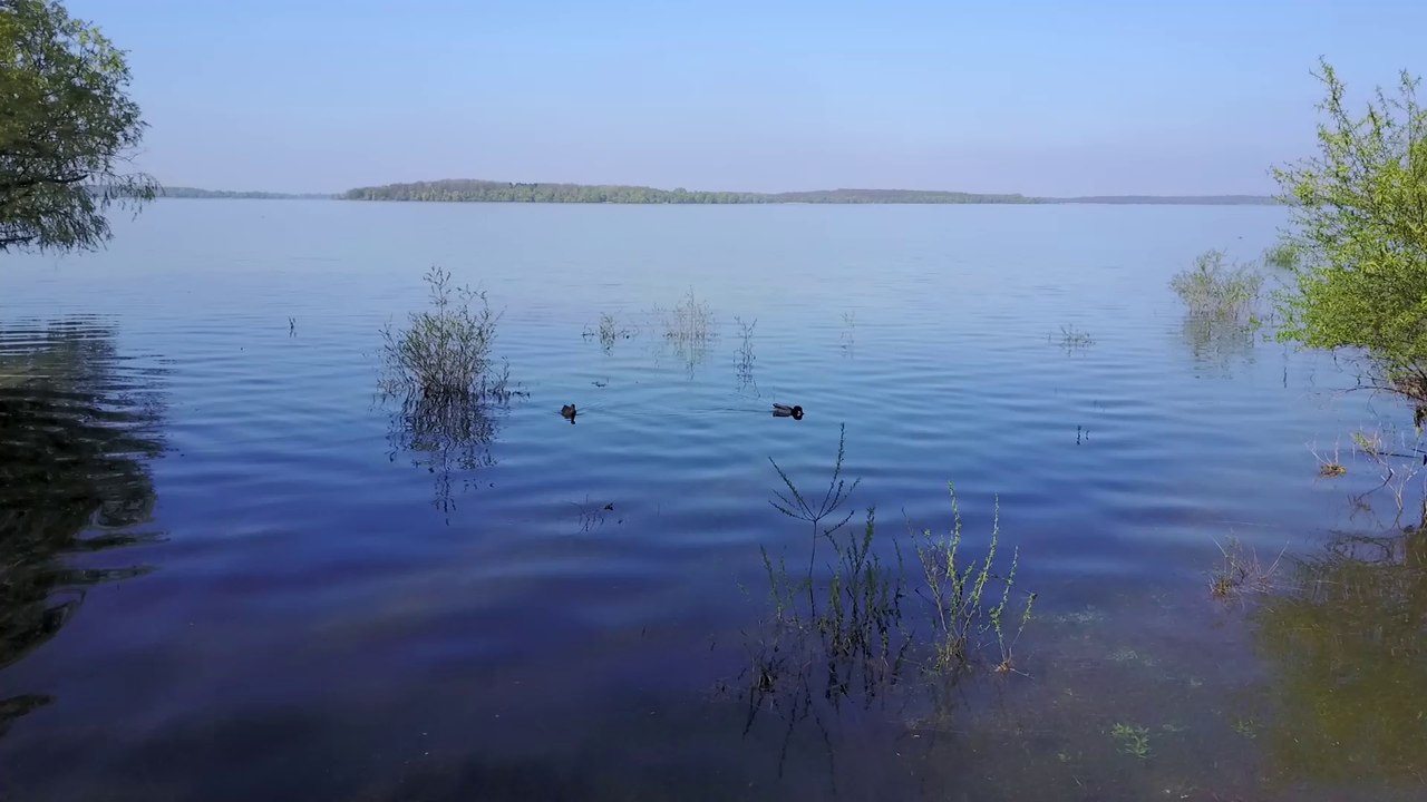Lac d'Orient- Aube - France