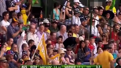 Top 5 Accidents Cricket - Stumps & Bats Broken ► Best Cricket Moments Funny 2017