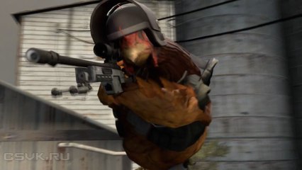Chicken-Strike [SFM] #CSGO