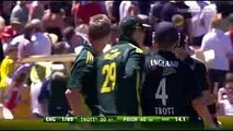 Updated 2017 __ Top 5 FUNNIEST Run Outs in Cricket History __ LOL