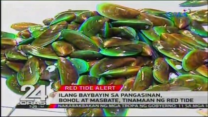 24 Oras April 11 2017 Part 6 - eatbulagalive.com