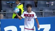 0-3 Dejan Damjanovic Second Goal - WS Wanderers  0-3 Seoul 11.04.2017