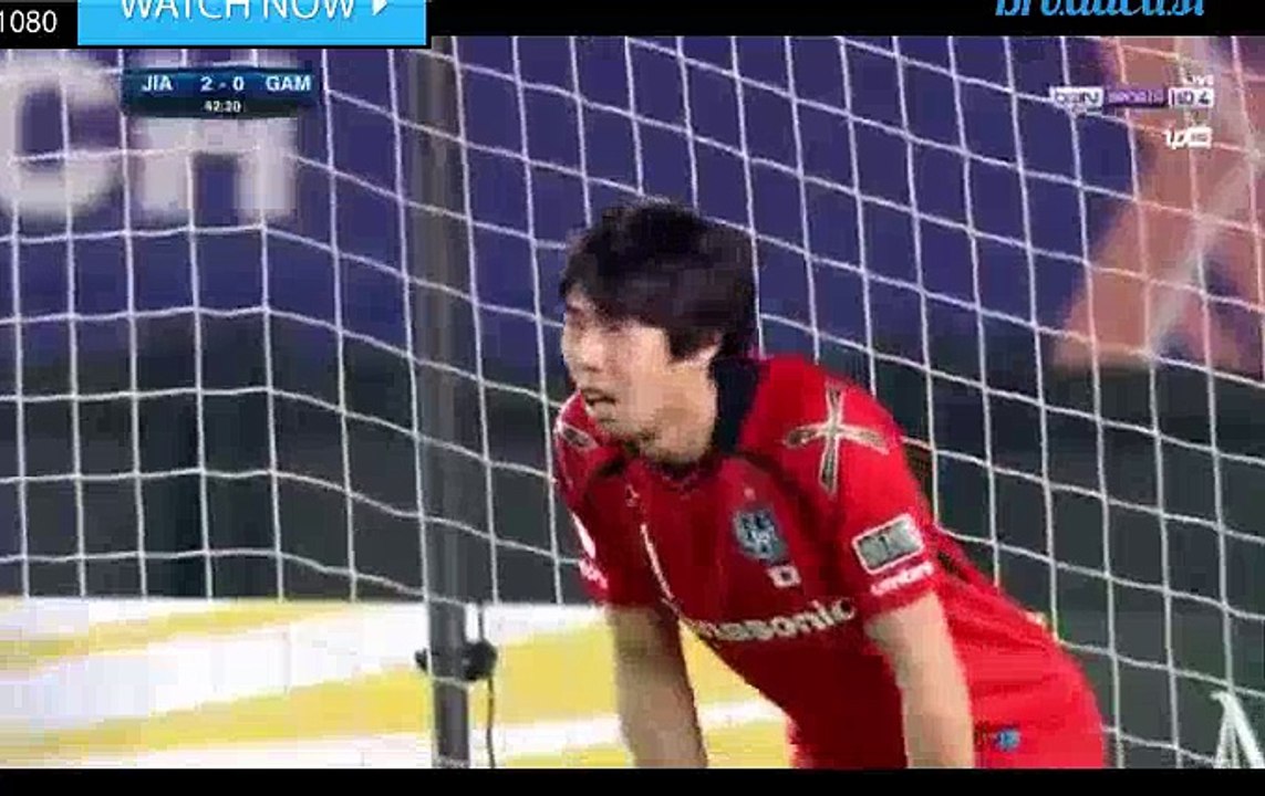 Jeong-Ho Hong Goal HD - Jiangsu Suning (Chn) 3-0 G-Osaka (Jpn) 11.04.2017