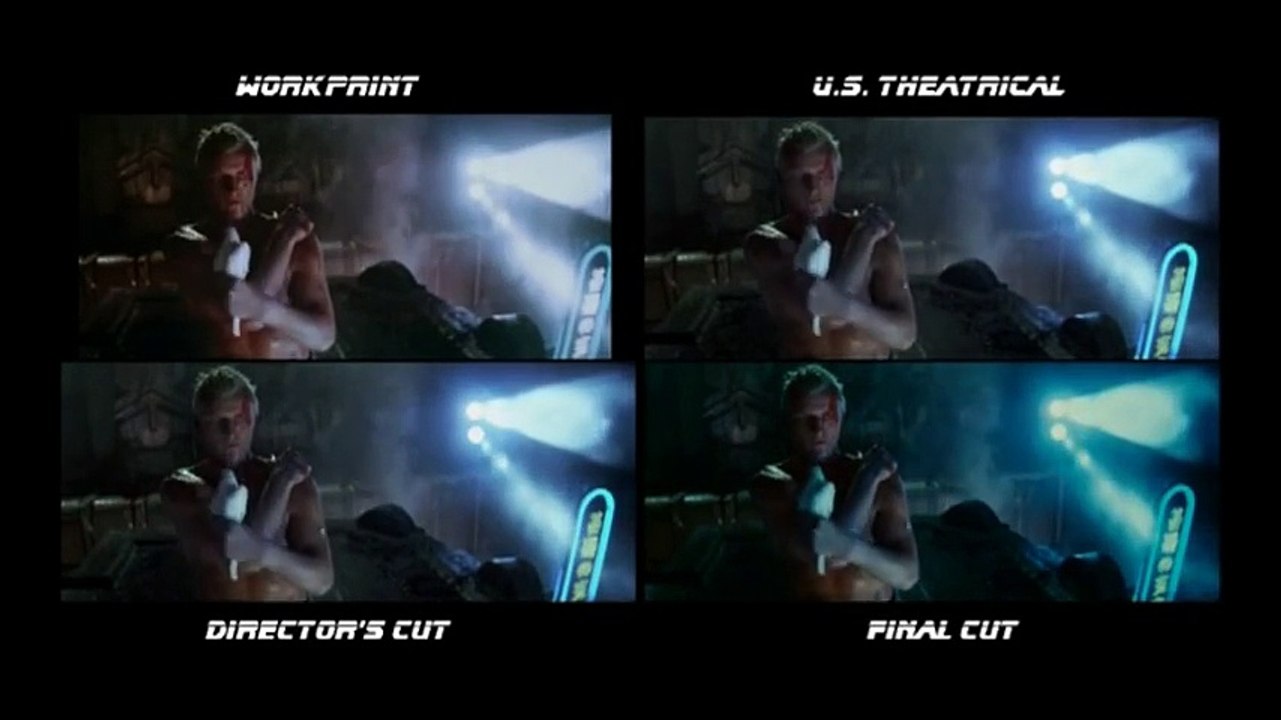 BLADE RUNNER -- TEARS IN RAIN -- SPLITSCREEN VERSION