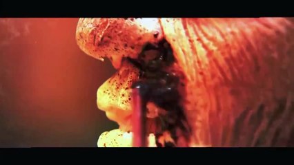 TV Zombie Prank - Brazilian Train - OMG Scariest Prank Ever