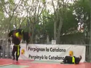 Démonstration Perpignan - Ecole Hong Quyen