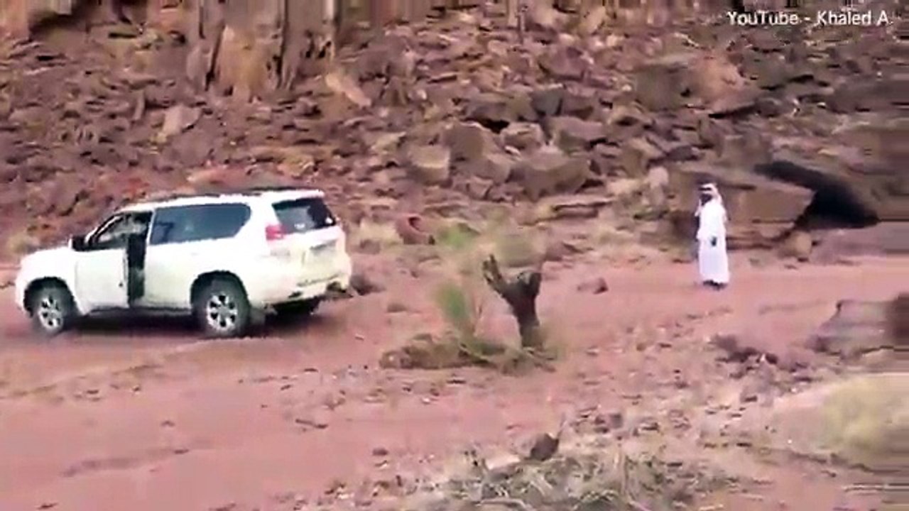 Perfect lesson on how not to remove a tree stump 2017