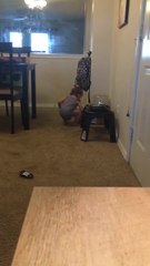 Baby tries filling dog bowl with water using only her hand