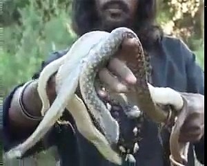 yeh kya kar raha hai