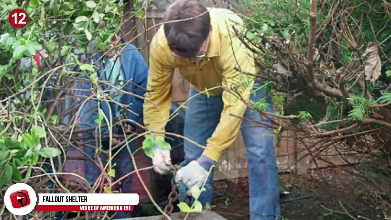 12 Strange Things Found in Backyards