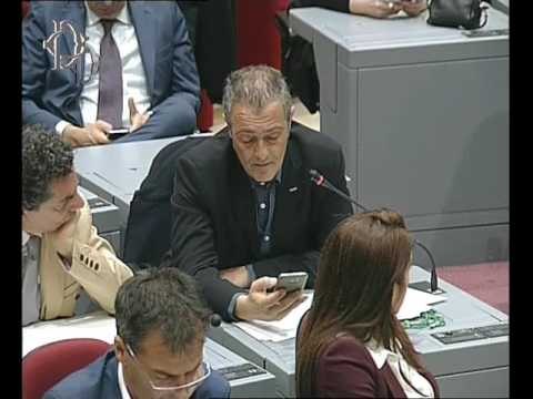 Roma - Audizione Padoan su società a partecipazione pubblica (05.04.17)