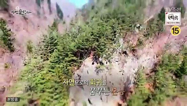 자연 애 산다 1회 20170411 -1