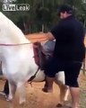 Cet homme va se souvenir longtemps de sa première fois à cheval