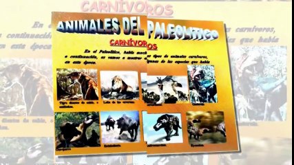 PALEOLÍTICO - IMÁGENES APORTADAS Y DIBUJADAS POR ALUMNOS