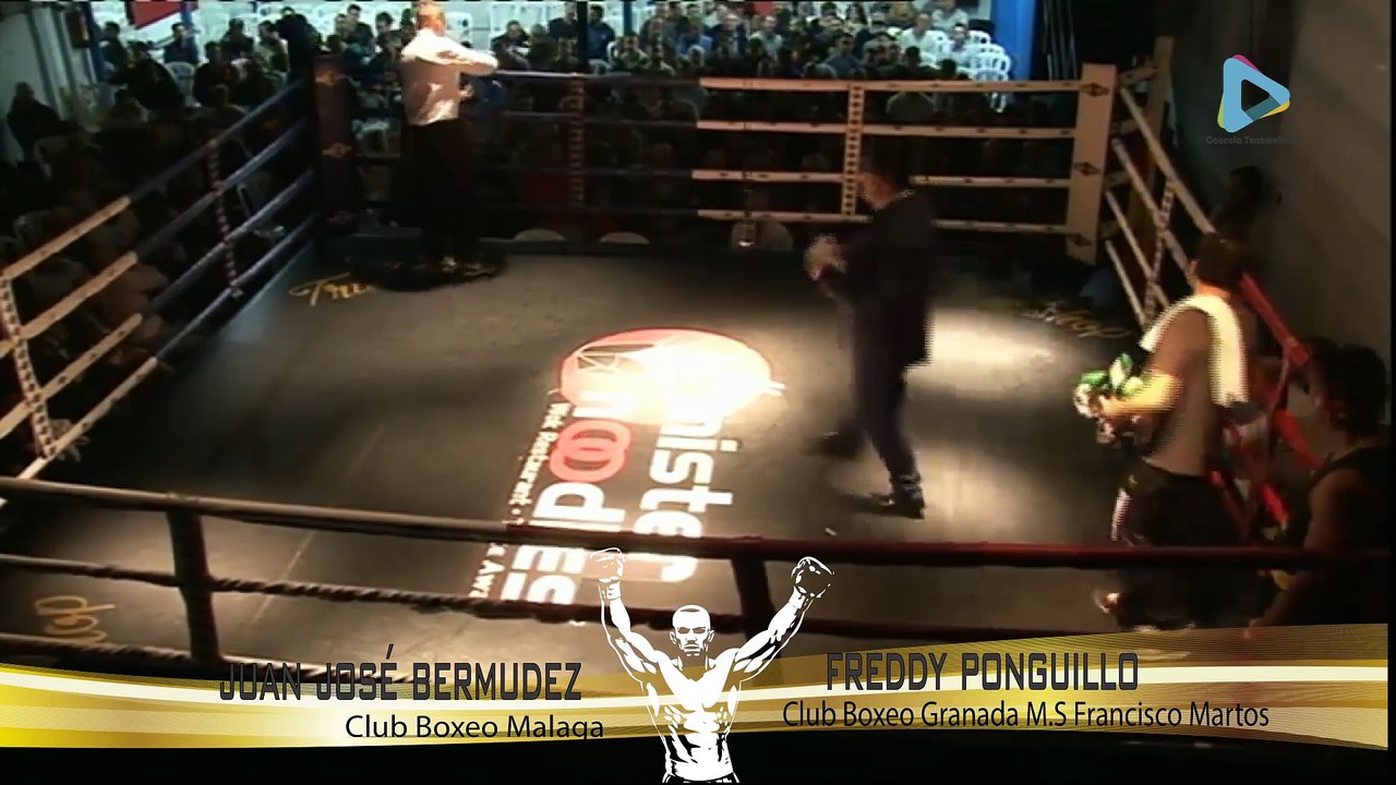 Freddy_Bermudez