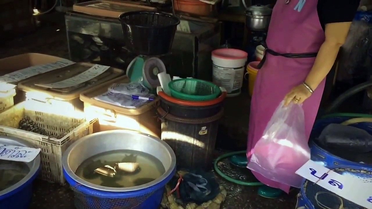 Studio13 Bangkok : Merit Time Release the Fishs 放鱼 行善