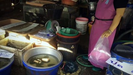 Studio13 Bangkok : Merit Time Release the Fishs 放鱼 行善