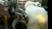funny videos 2015 tagalog - Funns Video - Pu
