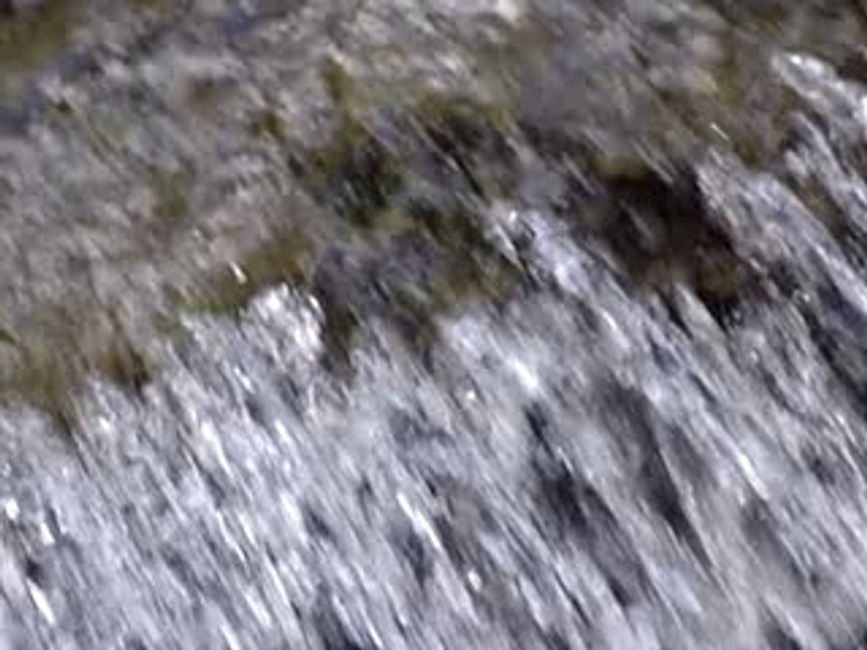 MOV05051