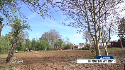 Juste Avant de Zapper du Mardi 11 Avril 2017