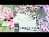 黄晓君 - 万事如意 (Huang Xiao Jun - Wan Shi Ru Yi)