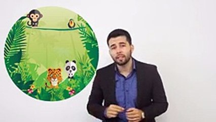 Professor WR - Direito do Trabalho - Requisitos da relação de emprego.