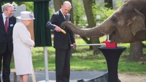 The Queen of England Is All Smiles After Meeting Nine Asian Elephants