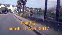 PONTIVY - Les palmiers au bord du Blavet - mardi 11 Avril 2017