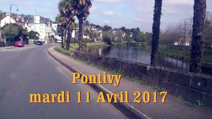 PONTIVY - Les palmiers au bord du Blavet - mardi 11 Avril 2017