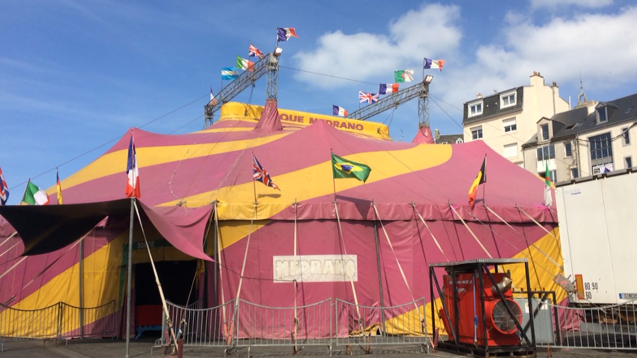 Derrière le chapiteau, les animaux !