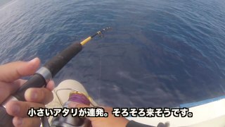 【西表島】船釣り　わらしべ釣法　主観　グルクン　アカジン　ナガジュー　ジキラン　沖縄釣りさぁ〜部その３４