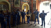 T. 24527840 Serenatas DF Mariachi Económico