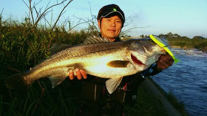 ダム湖で大ヤマメ攻略