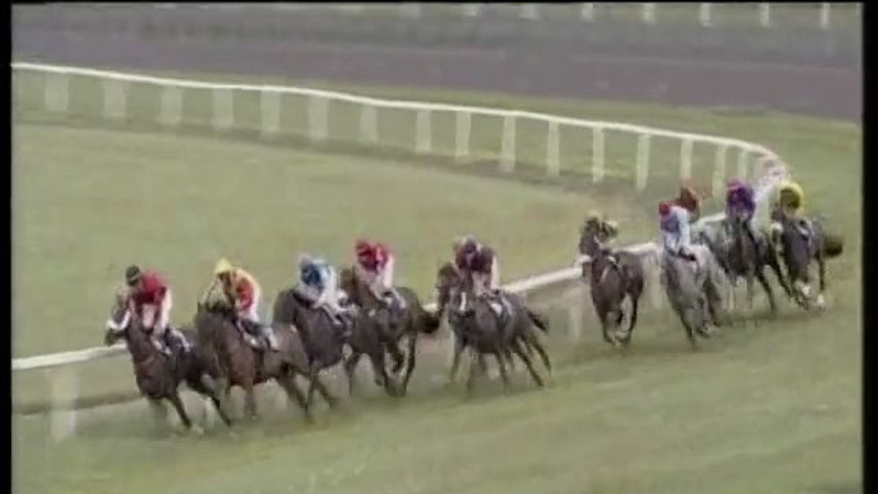 Une course hippique WTF
