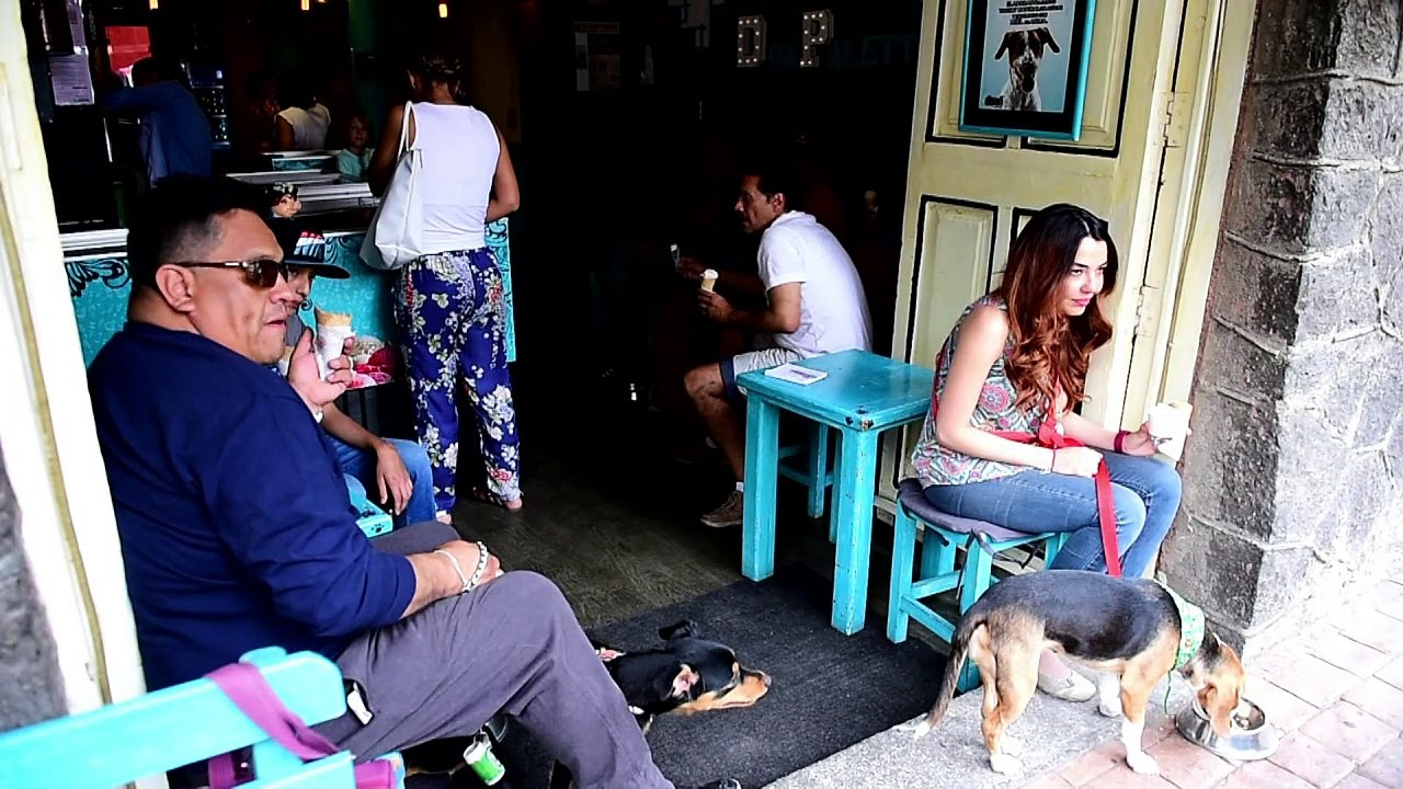 En Ciudad de México, perros combaten el calor con helados