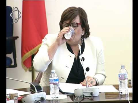 Roma - Contrasto evasione fiscale, audizione Orlandi (05.04.17)
