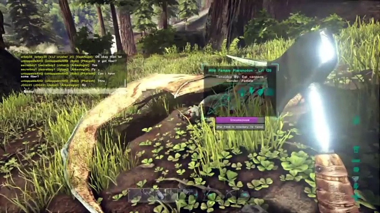 ARK EVOLVE PS4 LIVE (105)