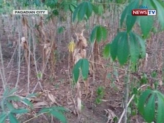 SONA: El niño, may mga senyales raw na nasa moderate level