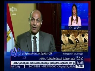 غرفة الأخبار | لقاء خاص مع العميد محمد حنفي رئيس مصلحة المغة والموازين بشأن سوق الذهب